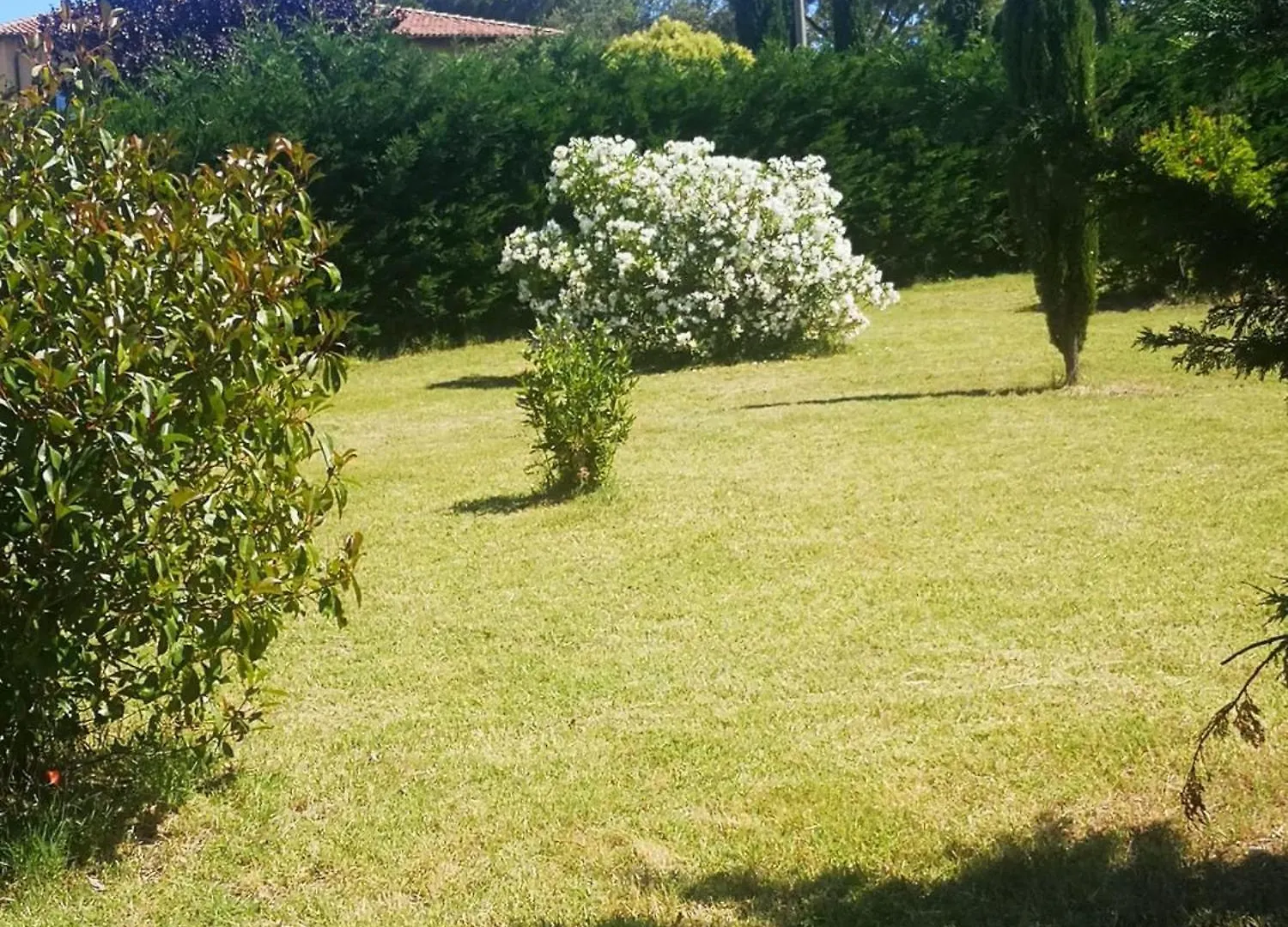 Podere Simonetta - A11 تشيزينا إيطاليا