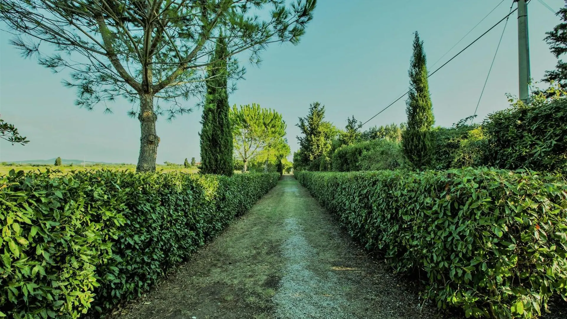 Podere Simonetta - A11 تشيزينا بيت للعطل