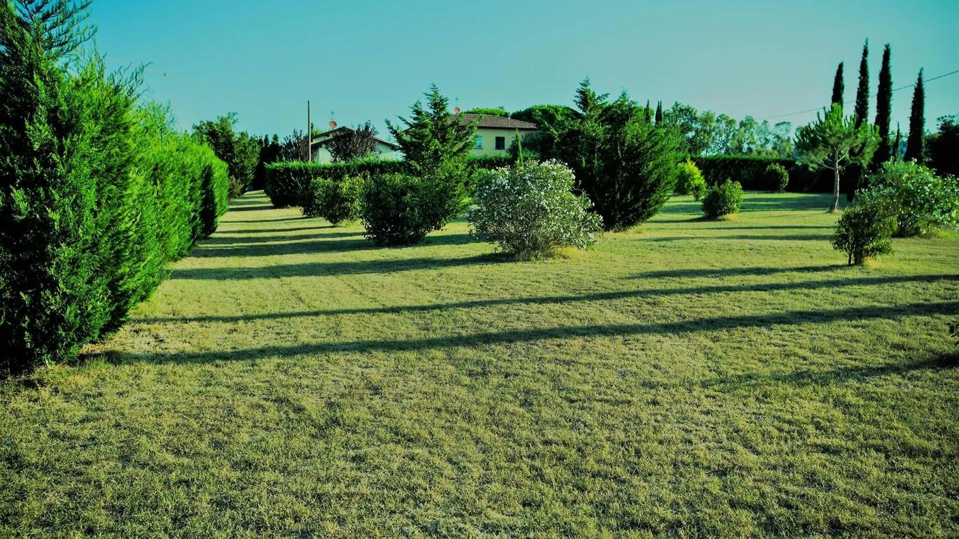 Podere Simonetta - A11 Cecina