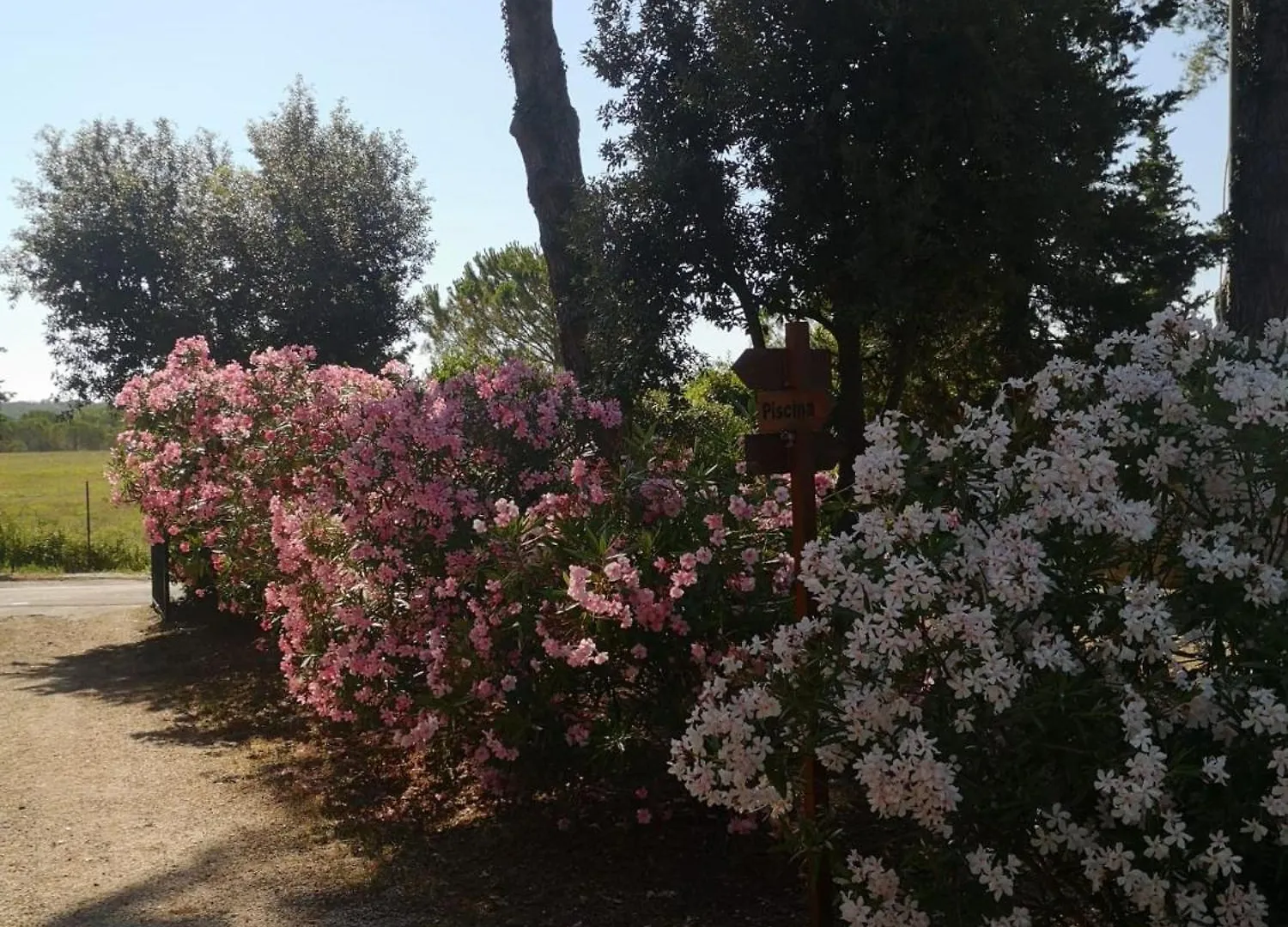 Podere Simonetta - A11 Cecina  0*, Cecina (Livorno) Italy